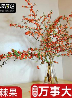 火棘果鲜切小冬青火把果客厅装饰摆件观赏插花水养鲜花卉云南直发