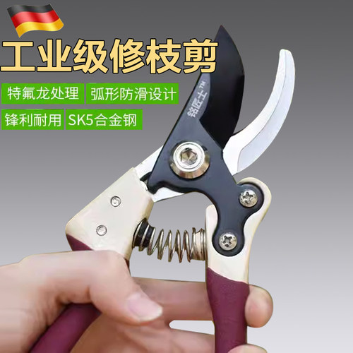德国精工sk5果树剪树枝专用剪刀粗枝花剪修枝剪家用园艺省力修花