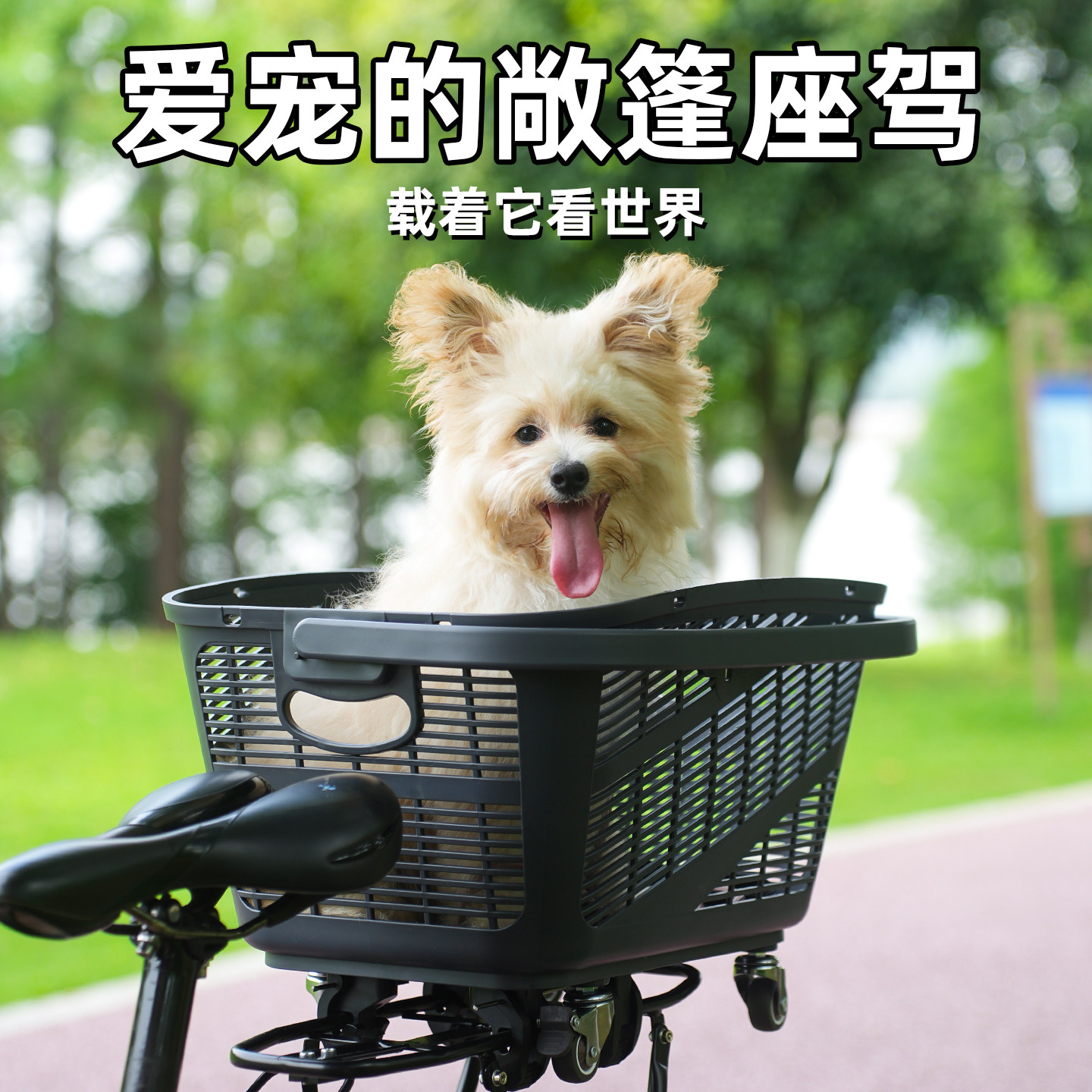 山地自行车车筐篮筐后货架置物框后车筐折叠车快拆宠物车筐大容量
