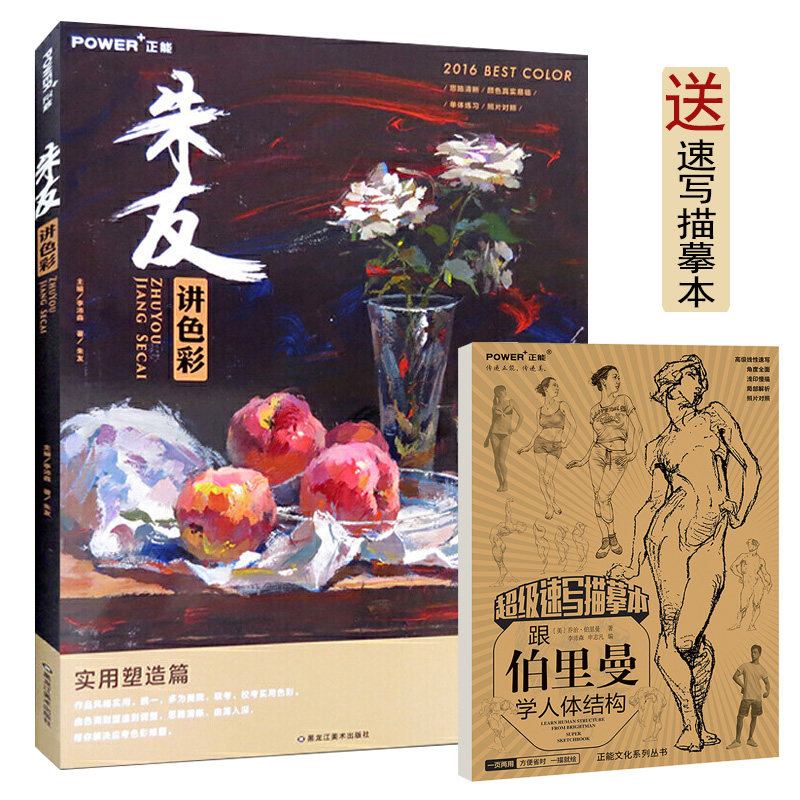 现货 朱友讲色彩  基础知识 强化 单体练习 范例欣赏 冷暖色调  变调
