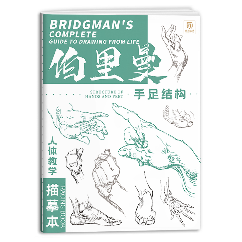 伯里曼手足结构教学描摹本