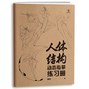 素描速写基础入门 漫画人体动态结构教学 艺用动态解剖 人体结构动态临摹练习册 人体结构造型手绘技法速写人体美术培训教材描摹本