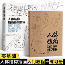 夏夜人体结构插画基础教程套装 教程书+练习本 边学边练 同步教学 人体速写 动态结构 人体结构造型手绘技法 漫画人物绘画零基础