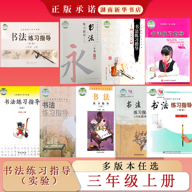 课标教科书 书法练习指导（实验小学教材
