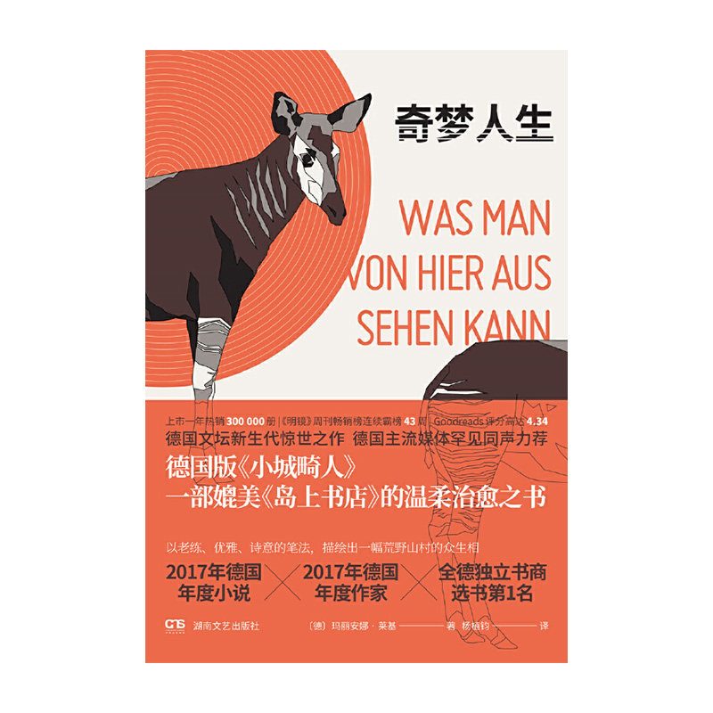 鱼文库:奇梦人生湖南文艺出版社玛丽安娜·莱基