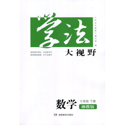 24春 学法大视野·数学七年级下册（配湘教） 湖南教育出版社 新华书店正版图书