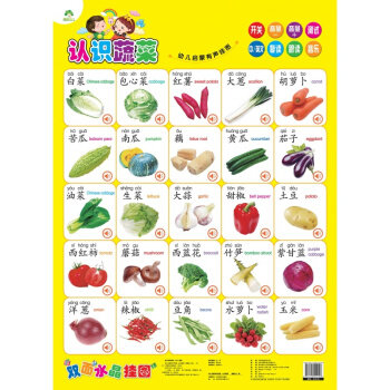 爱德少儿幼儿启蒙有声挂图认识蔬菜 河南美术出版社 新华书店正版图书
