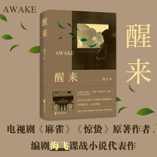醒来(2025) 海飞 浙江文艺出版社 新华书店正版图书