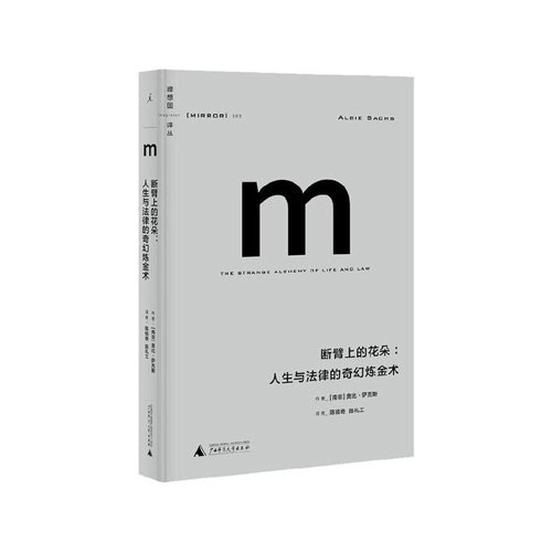 译丛003·断臂上的花朵（2021版）   （南非）奥比萨克斯 著，陈毓奇，陈礼工 译  广西师范大学出版社  新华书店正版图书