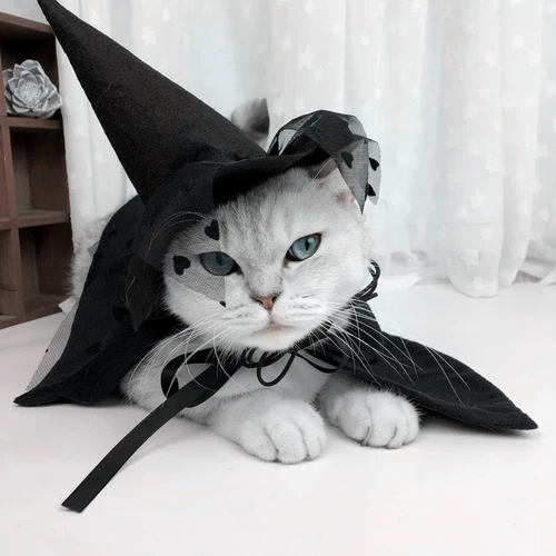 Pet Produce Dog Cat Halloween Harding Wizard Hat Superman Pet Clook Dog Cat Transformer Cap