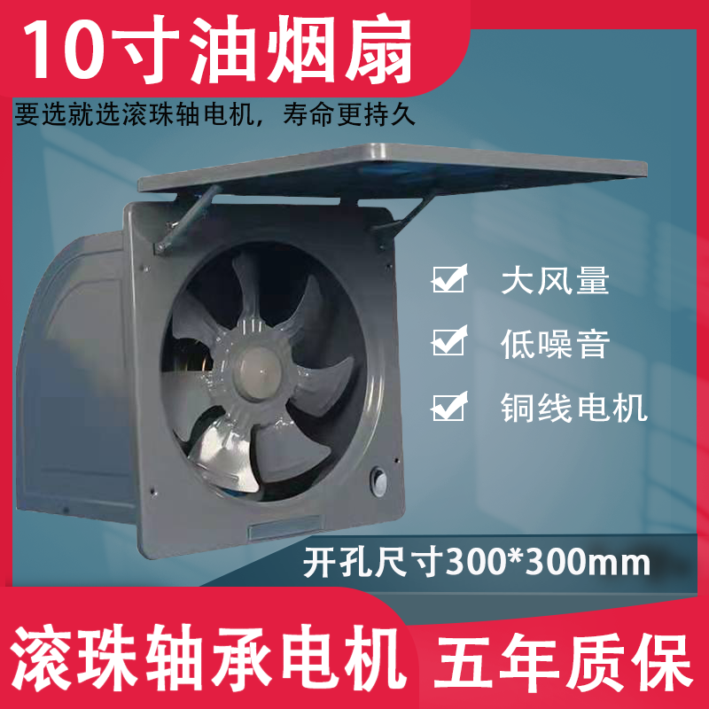 10寸金属家用强力窗式油烟扇】