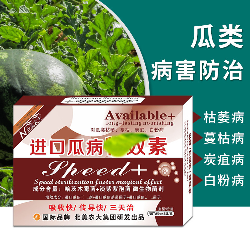 北美农大进口瓜病特效素杀菌剂西瓜甜瓜蔓枯病炭疽病白粉病专用药