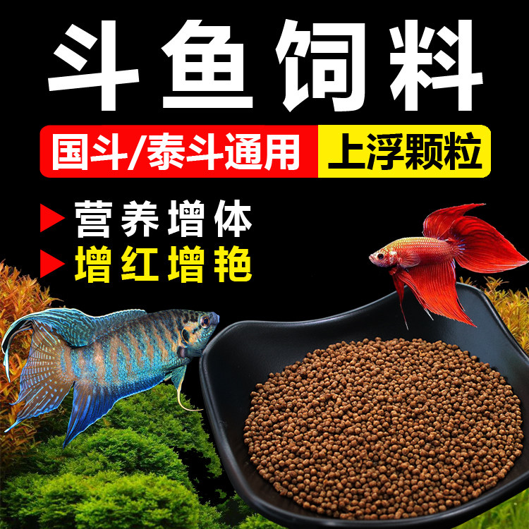 鱼饲料泰国普叉马尾半月小型