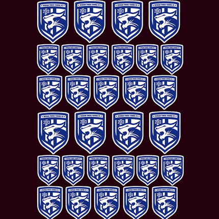 中超武汉三镇队徽贴画 中超周边足球贴纸手机电脑笔记本装饰自粘