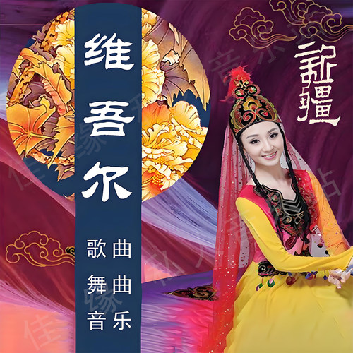 新疆音乐 维吾尔歌曲 音乐U盘 重新调音混音 新升级款 无损音质
