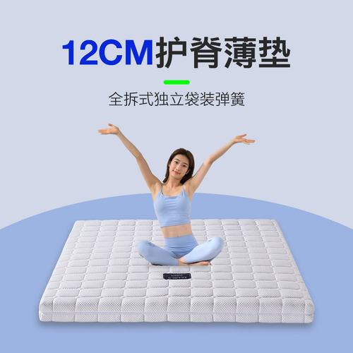 联乐软硬可选乳胶椰棕12cm新品