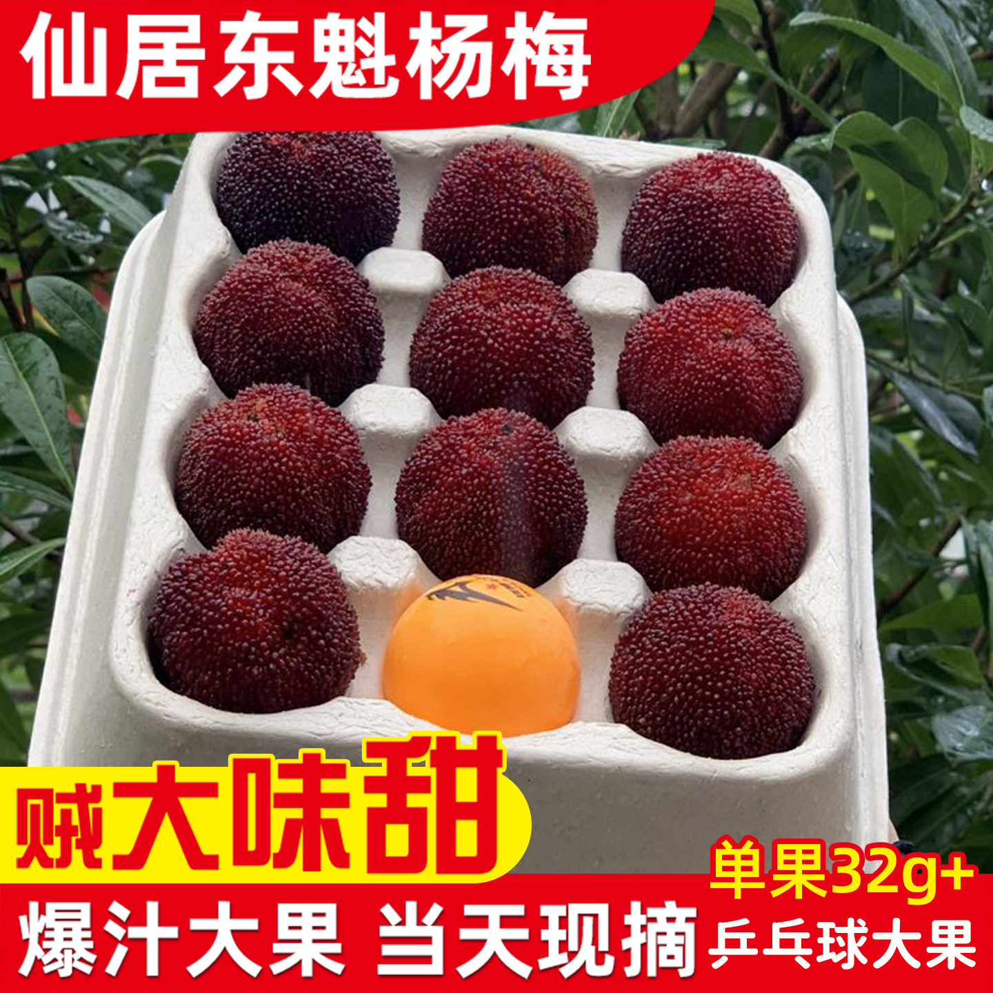 [稀缺大果]仙居杨梅浙江东魁大杨梅新鲜水果鲜果当季现摘现发礼盒