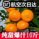 新鲜水果台州黄岩橘子 正宗涌泉蜜桔临海桔子10斤整箱当季 甜