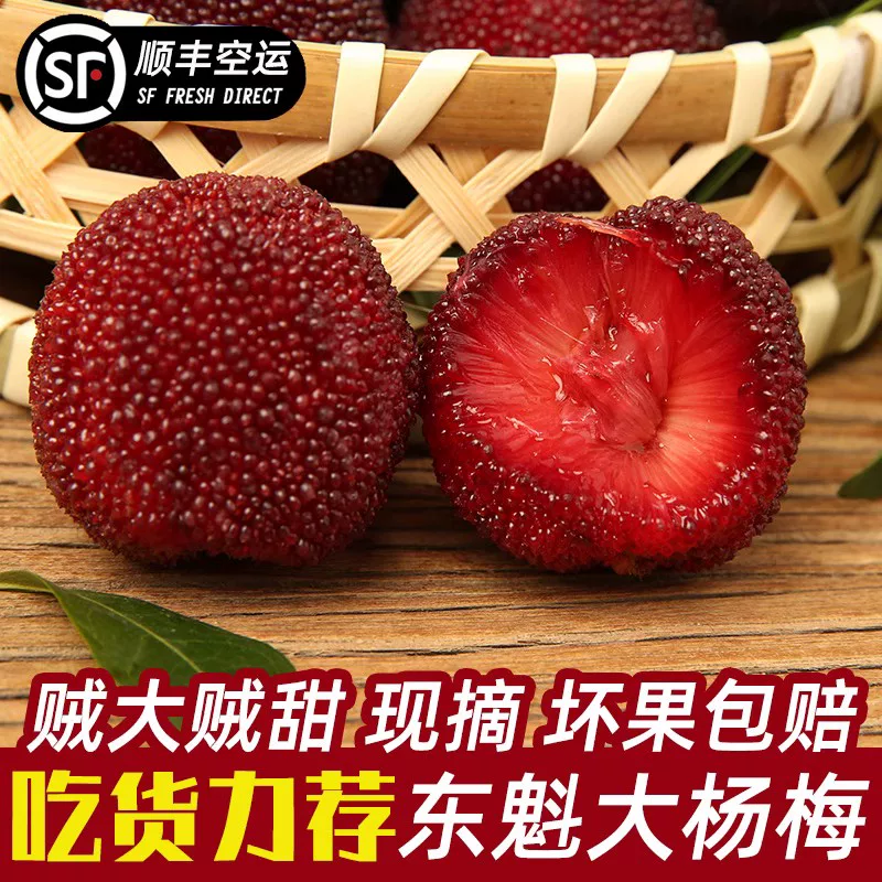 [正宗]仙居东魁杨梅新鲜大杨梅整箱浙江当季颗粒装鲜果水果整箱
