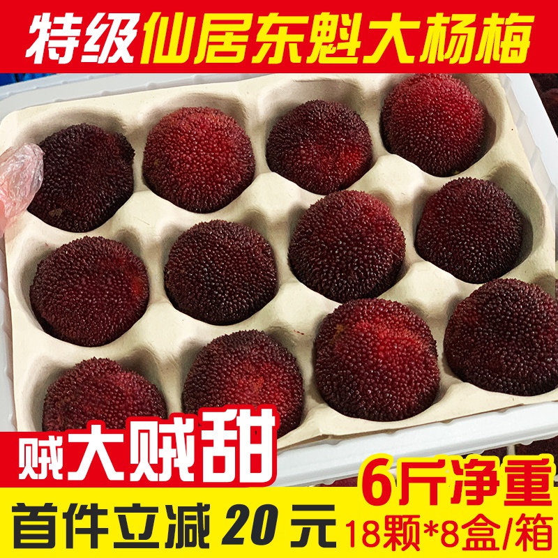 【特级大甜】仙居杨梅新鲜东魁杨梅6斤整箱孕妇当季水果现摘现发