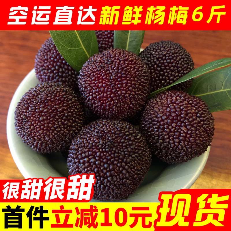 云南杨梅新鲜孕妇当季水果6斤东魁大杨梅现摘现发整箱非仙居福建