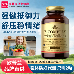 solgar维生素B族Vb族复合维生素BC组合维他命b群多种维b族维CVC片