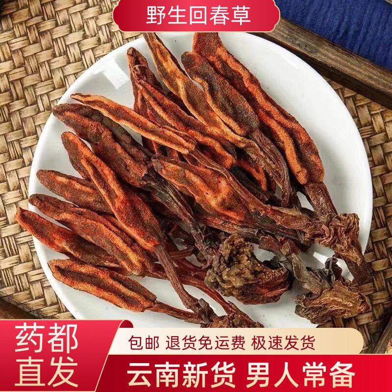 新货250g回春草野生不老草顶天柱泡酒料风流果锁阳肉苁蓉肾滋补酒