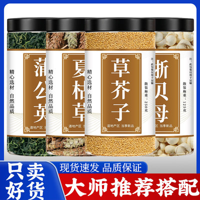 蒲公英夏枯草草介子贝母泡茶泡水喝新鲜正品白芥子浙贝母婆婆丁茶