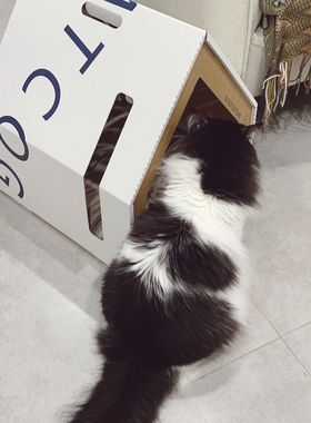顺丰包邮 DATCOG瓦楞纸猫窝超大舒适稳固环保猫窝四季通用