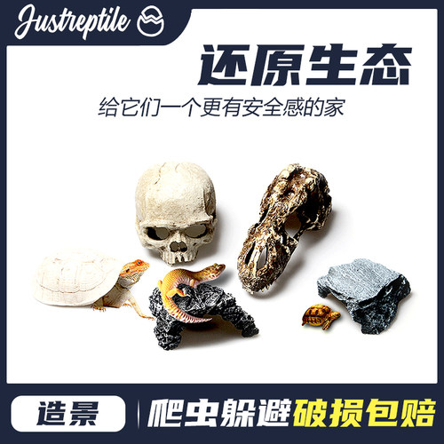 守宫躲避角蛙爬宠造景宠物蛇