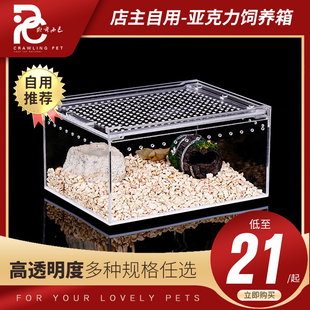 爬虫宠物箱透明亚克力蜘蛛守宫角蛙甲虫宠物蛇造景爬宠蝾螈饲养盒