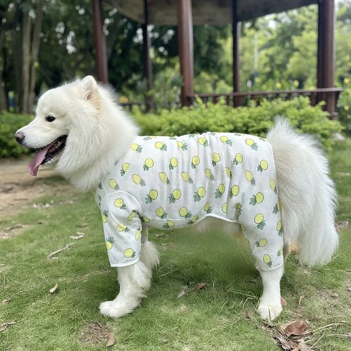 宠物狗狗四脚衣网眼透气防掉毛