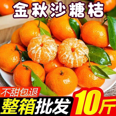 广西百色砂糖橘精选超甜无籽现摘新鲜包邮