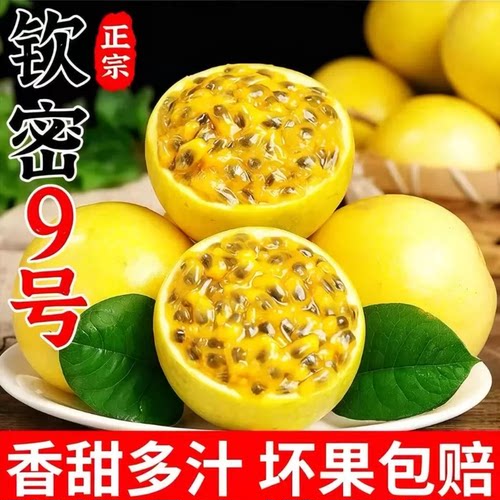 钦蜜9号黄金百香果精品礼盒新鲜包邮