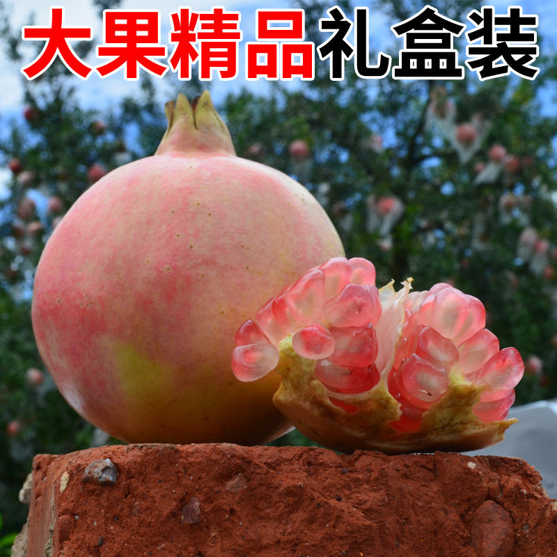 现货 一个一斤以上 正宗云南蒙自石榴 甜石榴 新鲜现摘皮薄汁