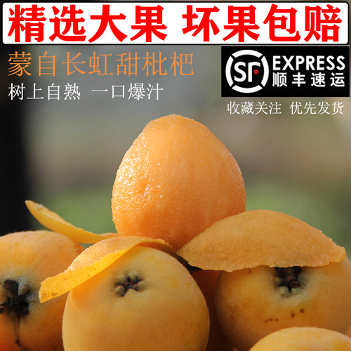 云南新鲜甜枇杷顺丰包邮