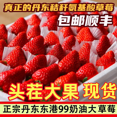丹东草莓先生马家岗秸秆99奶油新鲜红颜大果东港九九牛奶礼盒装