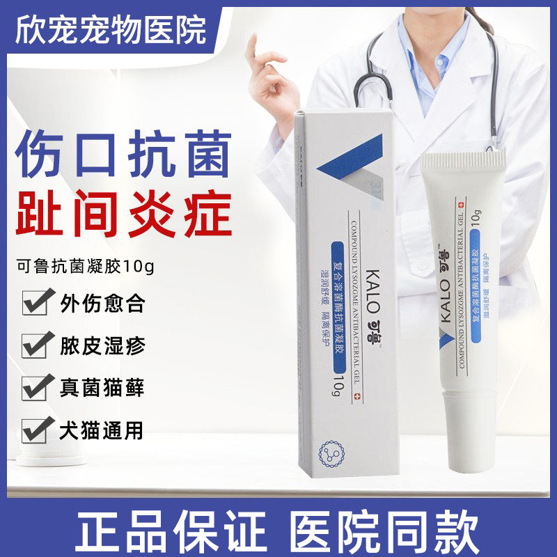 可鲁复合溶菌酶抗菌凝胶狗狗趾间炎专用药狗脚趾炎猫伤口消炎愈合