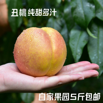 丹东晚秋丑桃黄金蜜桃纯甜多汁5斤包邮黄桃黄油桃