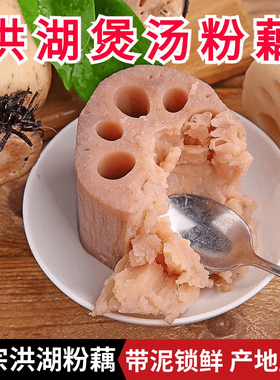 洪湖粉藕五斤三斤正宗湖北煲汤九孔粉糯红藕糯米藕