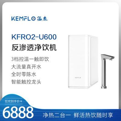 溢泰kemflo净热一体智能净水即热