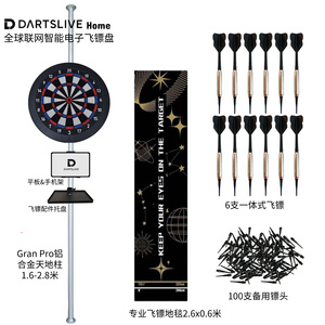 日本Dartslivehome全球联飞镖靶
