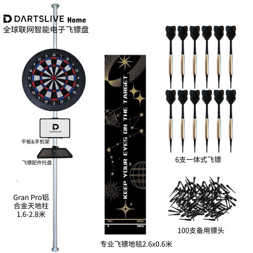 日本Dartslivehome全球联飞镖靶
