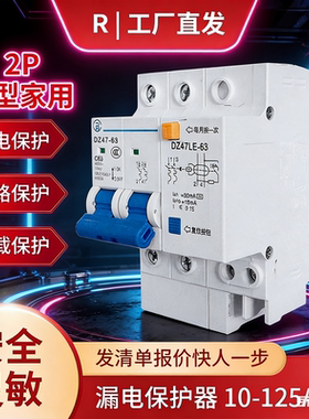 正品行货漏电保护器开关2P63A空气开关带漏电保护家用总闸