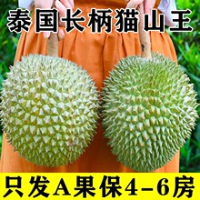 【特别推荐】泰国鲜果长柄干尧猫山王榴莲新鲜水果应季一整个带壳
