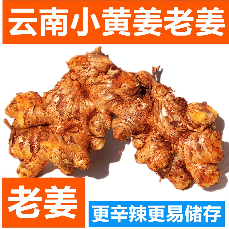 2-3年云南小黄姜10斤当季新鲜