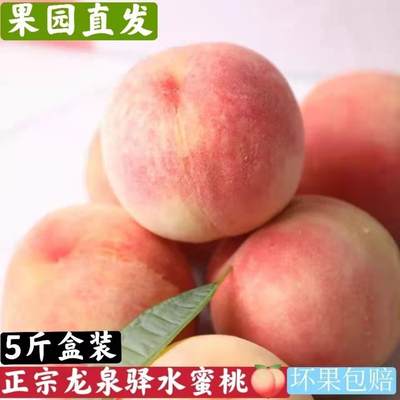 四川龙泉精品新鲜小白凤水蜜桃现摘可撕皮纯甜软桃子新鲜水果礼盒