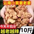 云南罗平小黄姜老姜10斤