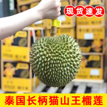 泰国长柄猫山王榴莲新鲜水果整果包邮当季进口巴掌干饶干尧榴莲
