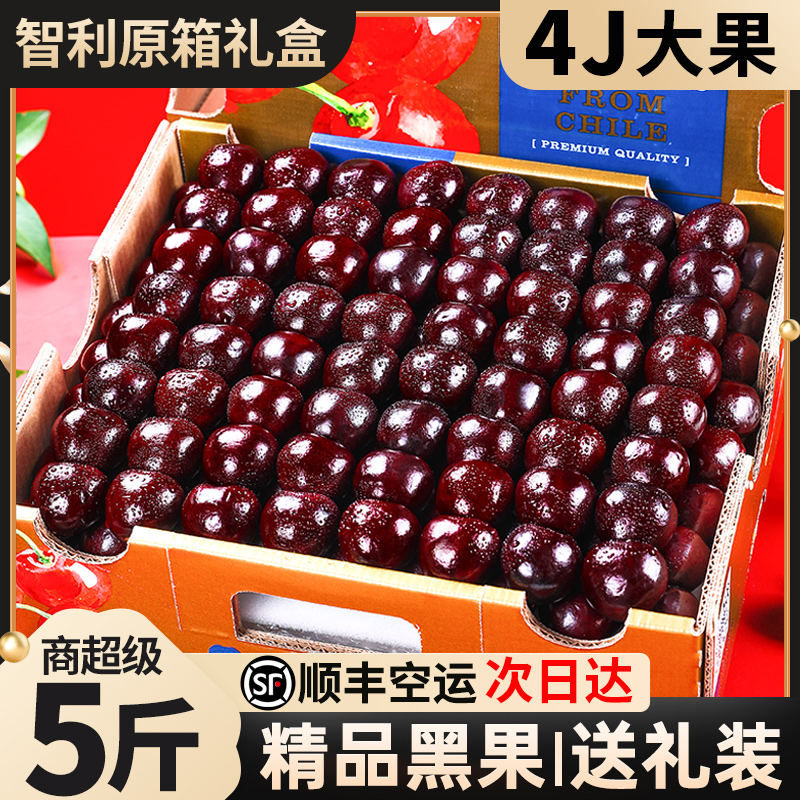 原箱礼盒丨智利进口车厘子5斤新鲜水果当季整箱4J大樱桃顺丰包邮